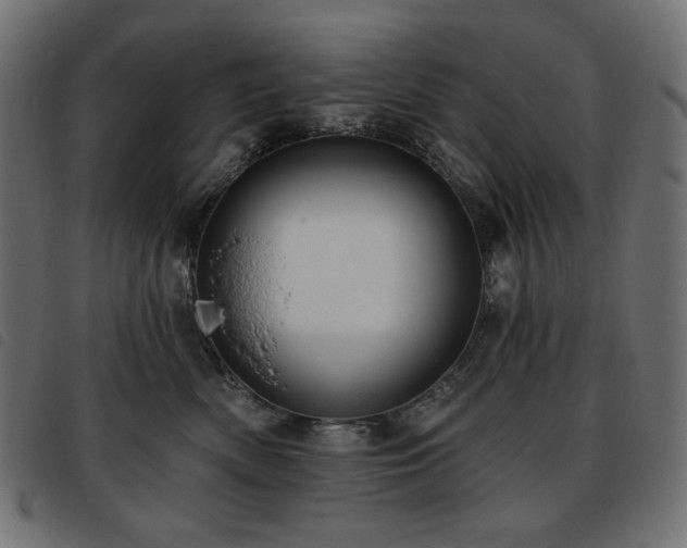 X0000093760522200710161225