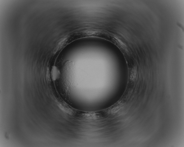 X0000093760524200710161225