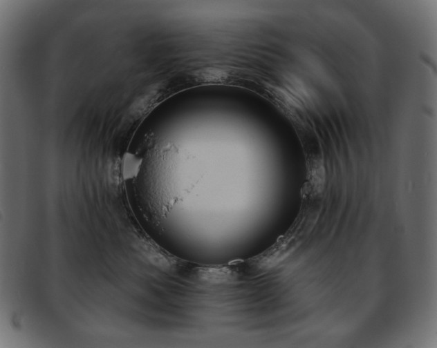 X0000093760525200710161225