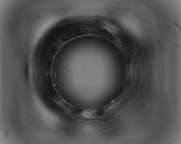 X0000093760526200710161225