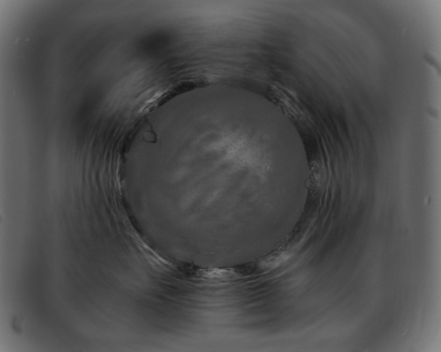 X0000093760527200710161225
