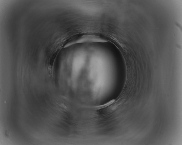 X0000093760528200710161225