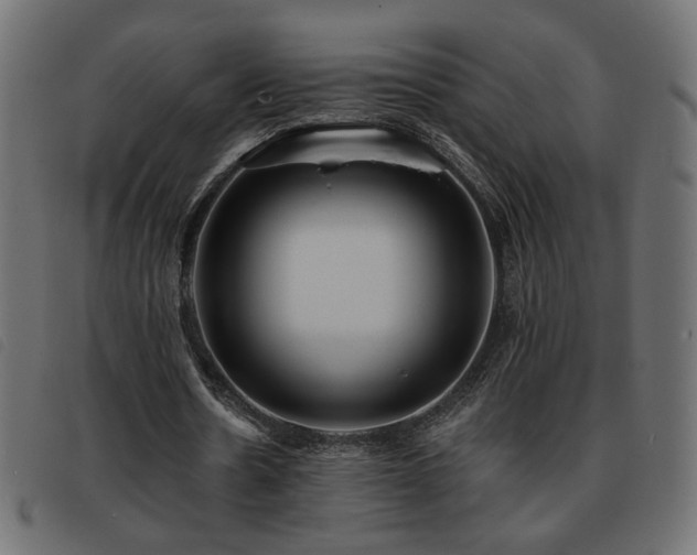 X0000093760530200710161224