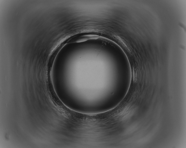X0000093760531200710161224