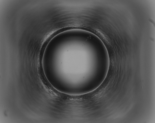 X0000093760532200710161225