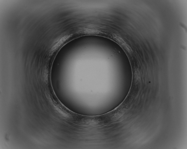 X0000093760533200710161225