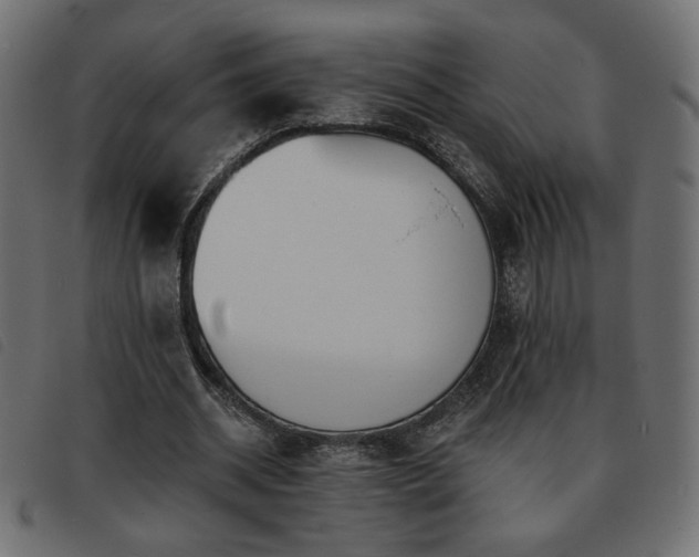 X0000093760534200710161225