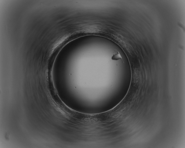 X0000093760535200710161225