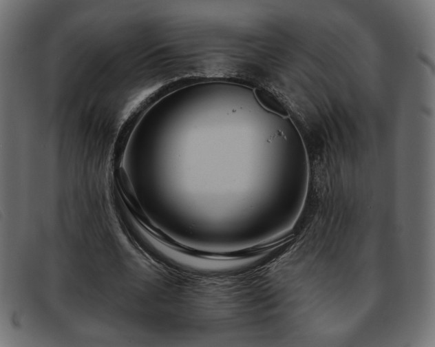 X0000093760536200710161225