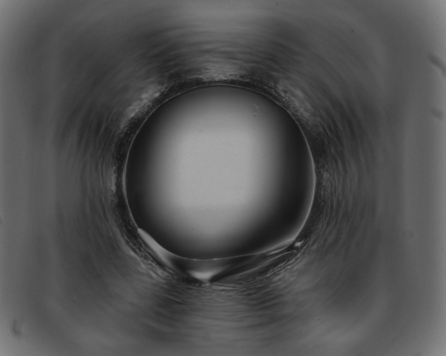 X0000093760539200710161225