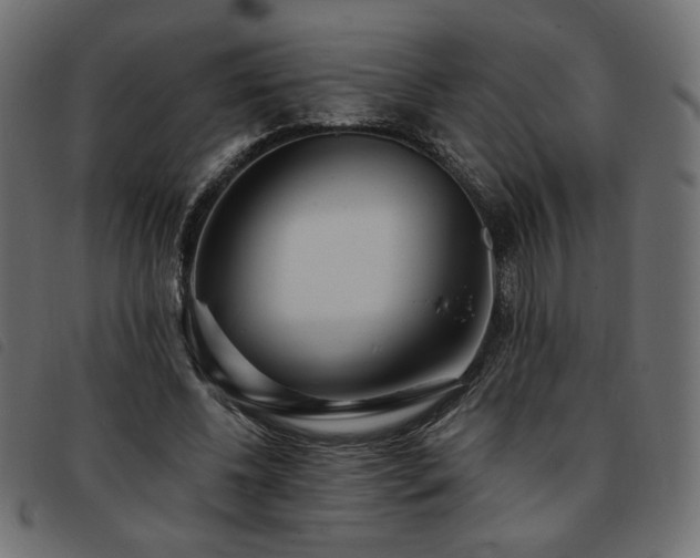 X0000093760540200710161225