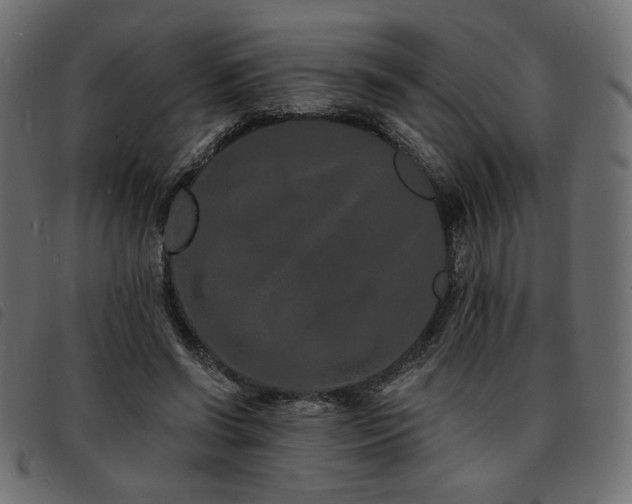 X0000093760542200710161225