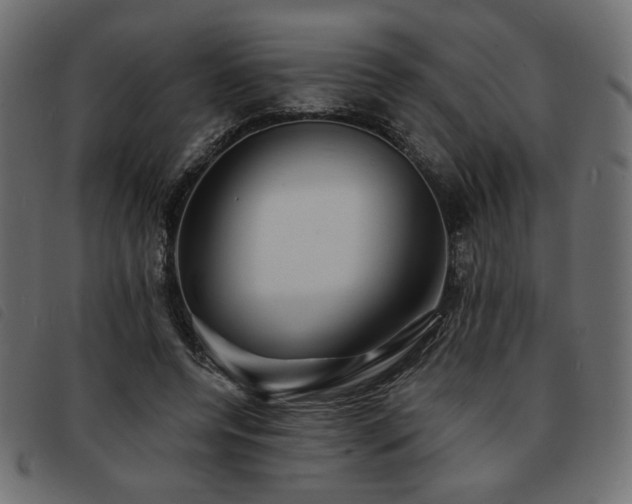 X0000093760544200710161225