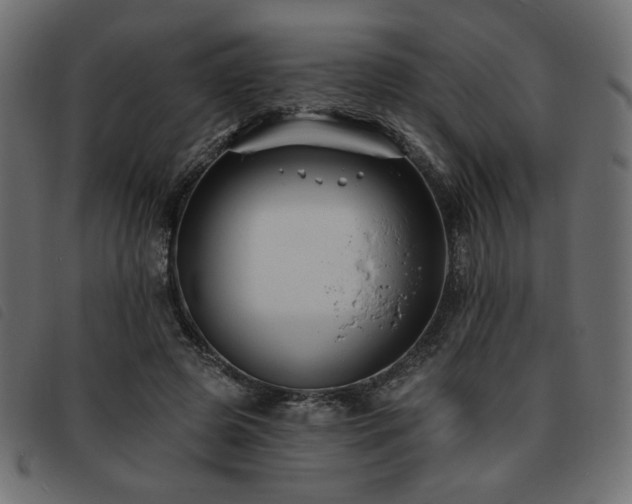X0000093760545200710161225