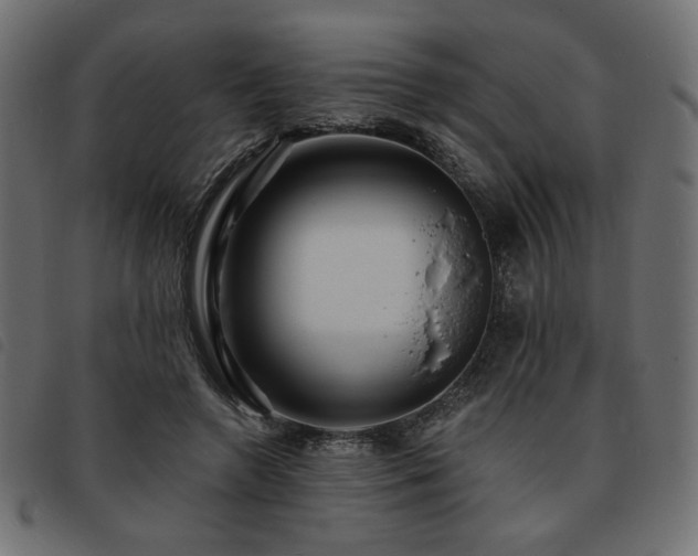 X0000093760546200710161225