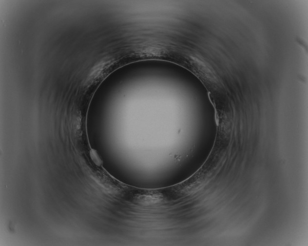 X0000093760548200710161225