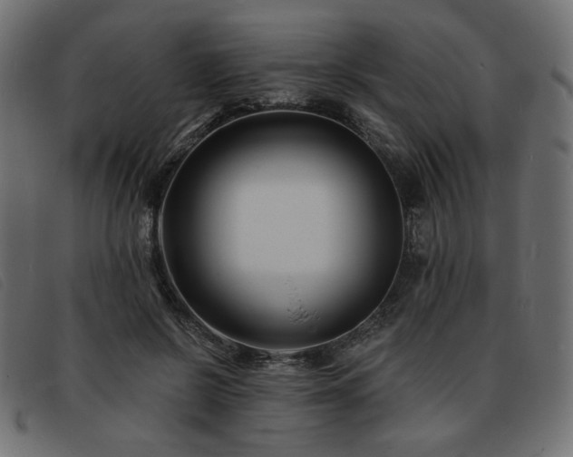 X0000093760550200710161225