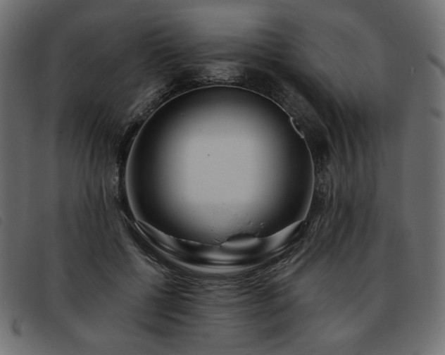 X0000093760552200710161225