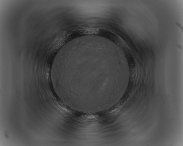 X0000093760553200710161225