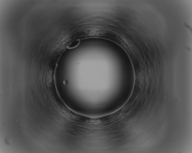 X0000093760554200710161225