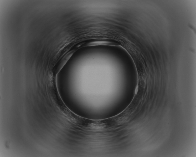 X0000093760556200710161225