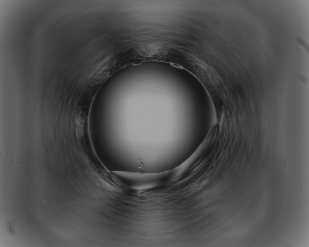 X0000093760558200710161225