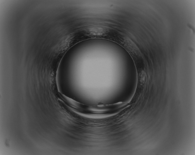 X0000093760559200710161225