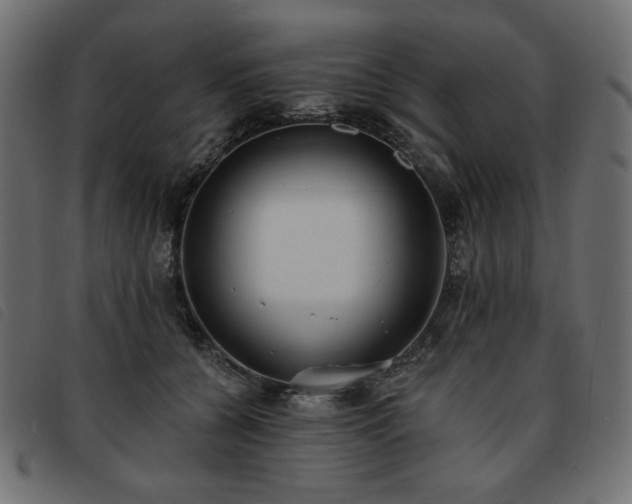 X0000093760560200710161225