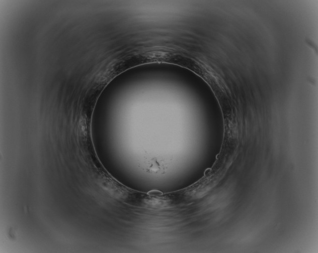 X0000093760561200710161225