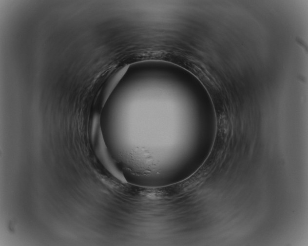 X0000093760564200710161225