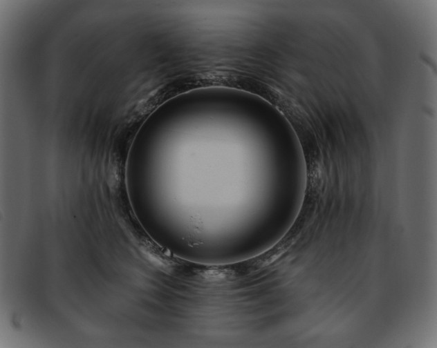 X0000093760566200710161225