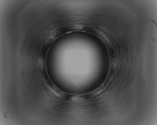 X0000093760568200710161225