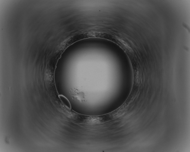X0000093760569200710161225