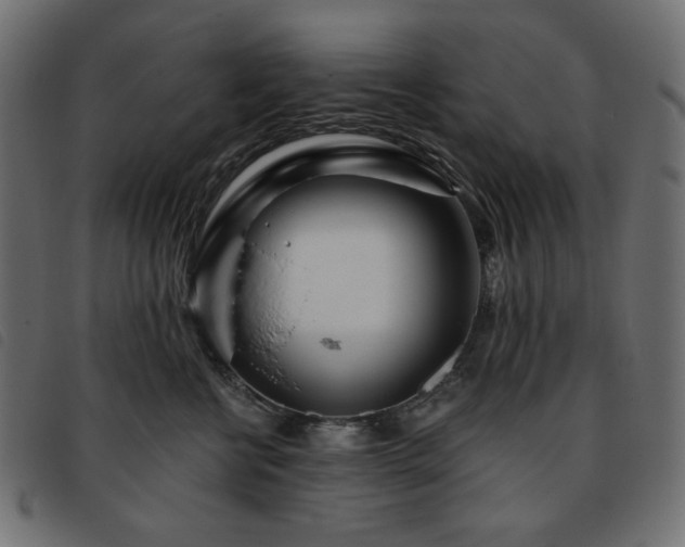 X0000093760570200710161225