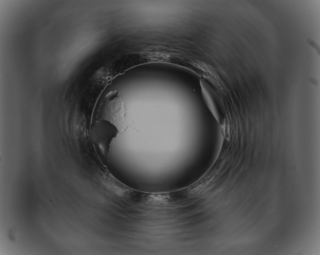 X0000093760573200710161225