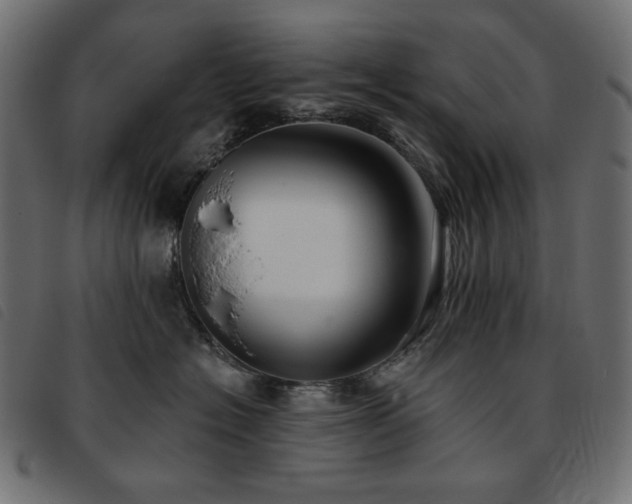 X0000093760574200710161225