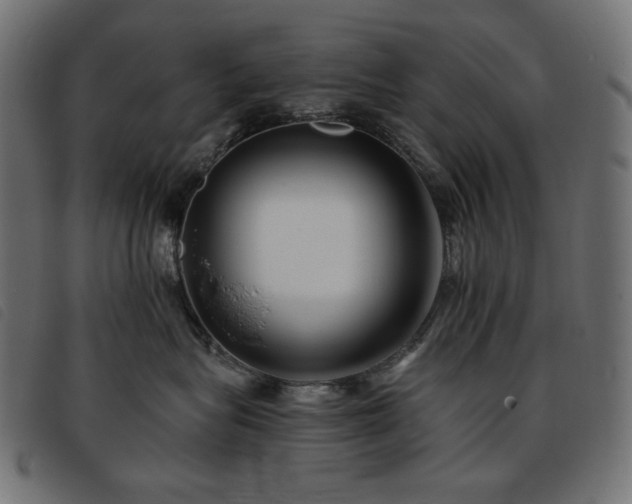X0000093760575200710161225