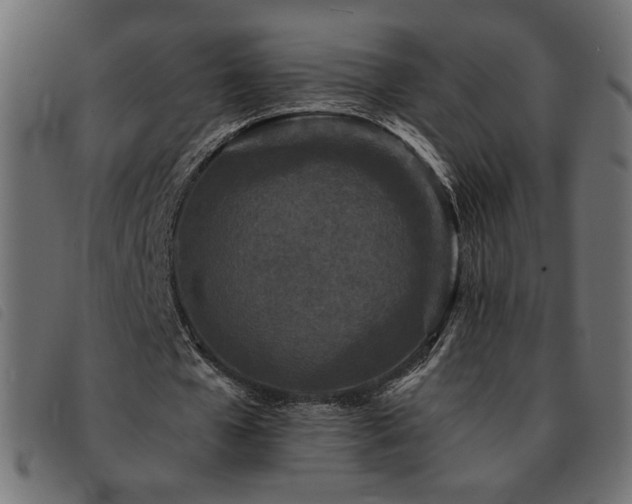 X0000093760577200710161224