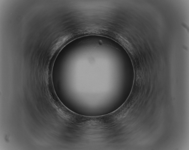 X0000093760578200710161224