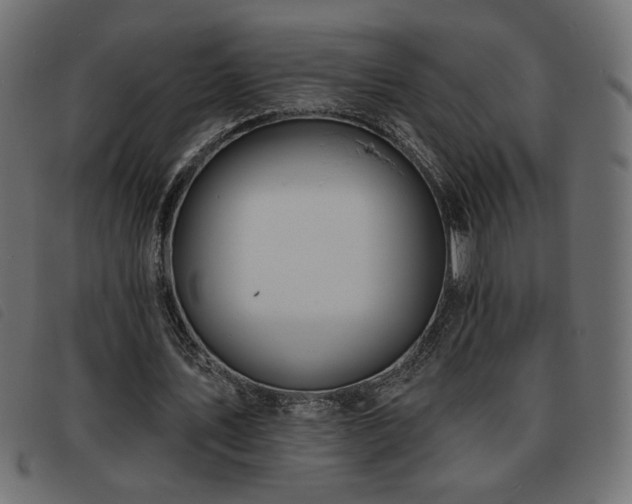 X0000093760579200710161224