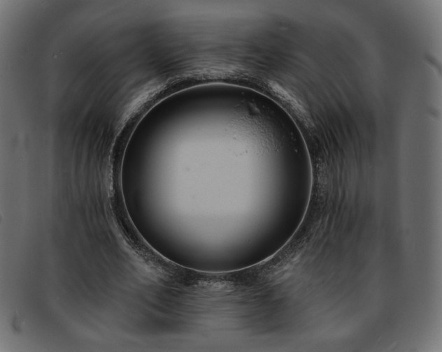 X0000093760582200710161224