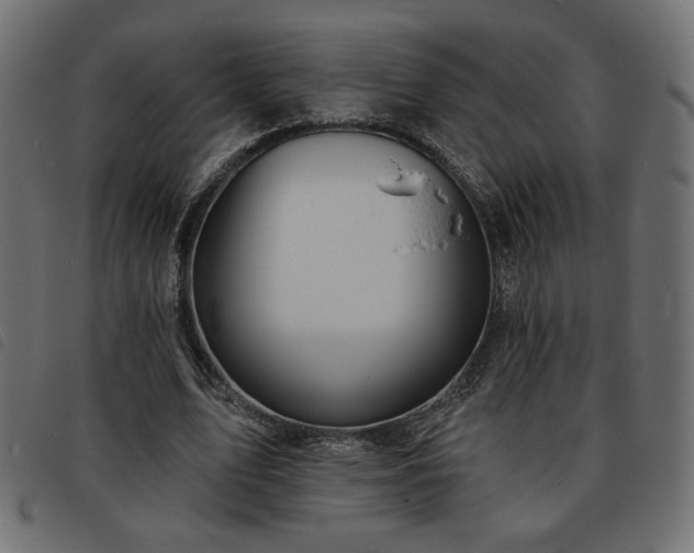 X0000093760583200710161224