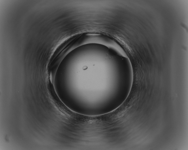 X0000093760584200710161224