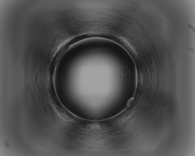 X0000093760588200710161224