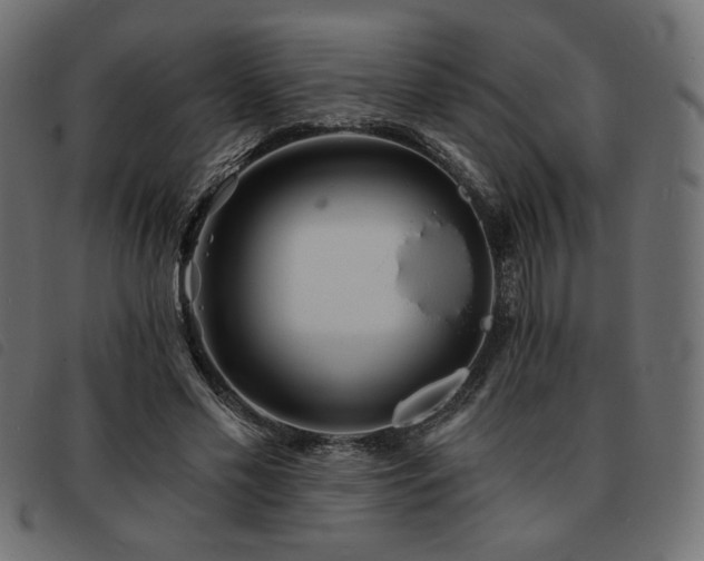 X0000093760589200710161224