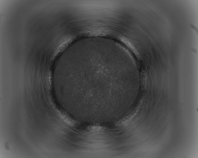 X0000093760590200710161224