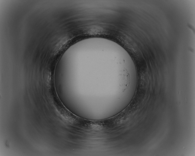 X0000093760592200710161224