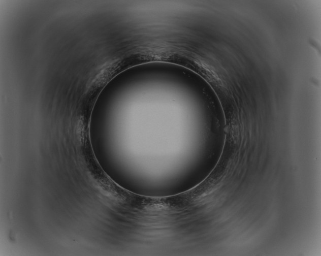 X0000093760594200710161224