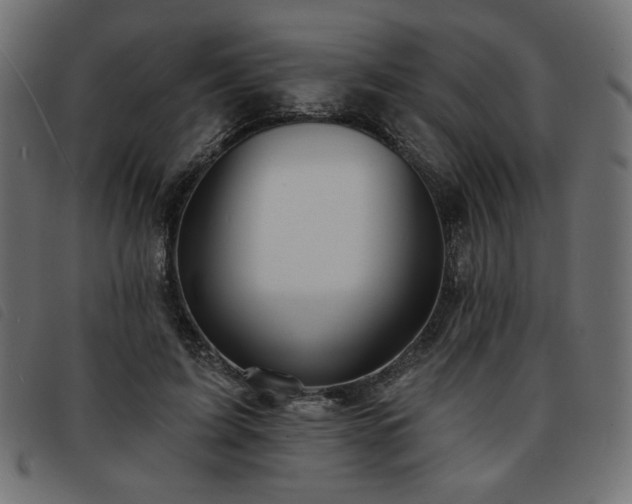 X0000093760595200710161224