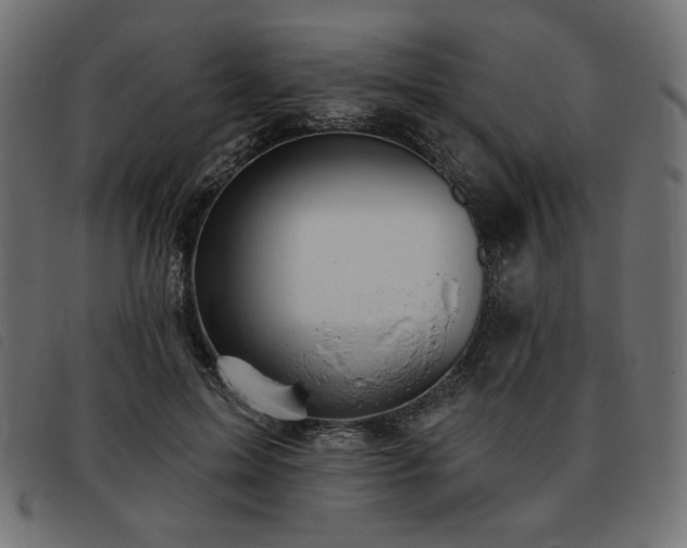 X0000093760599200710161224